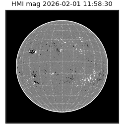 shmi - 2026-02-01T11:58:30.700000