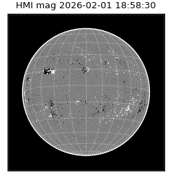 shmi - 2026-02-01T18:58:30.600000