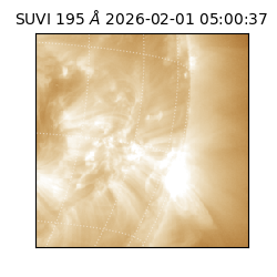 suvi - 2026-02-01T05:00:37.063000