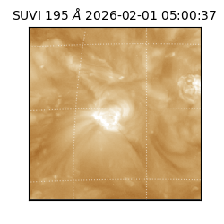 suvi - 2026-02-01T05:00:37.063000