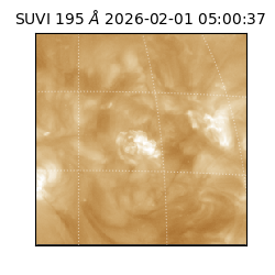 suvi - 2026-02-01T05:00:37.063000