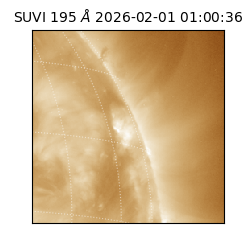 suvi - 2026-02-01T01:00:36.335000