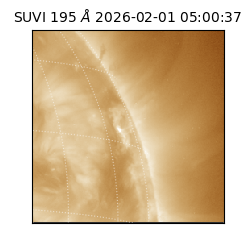 suvi - 2026-02-01T05:00:37.063000