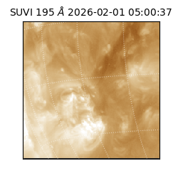 suvi - 2026-02-01T05:00:37.063000