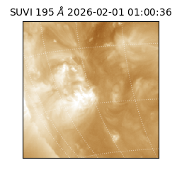 suvi - 2026-02-01T01:00:36.335000