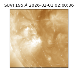 suvi - 2026-02-01T02:00:36.517000