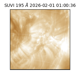 suvi - 2026-02-01T01:00:36.335000