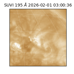 suvi - 2026-02-01T03:00:36.699000