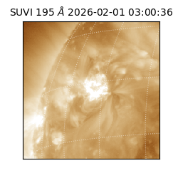 suvi - 2026-02-01T03:00:36.699000