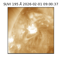 suvi - 2026-02-01T09:00:37.793000