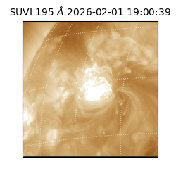 suvi - 2026-02-01T19:00:39.595000