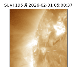 suvi - 2026-02-01T05:00:37.063000