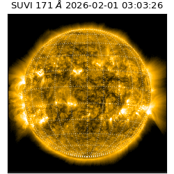 suvi - 2026-02-01T03:03:26.709000