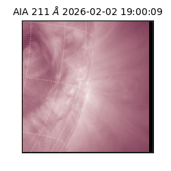 saia - 2026-02-02T19:00:09.626000