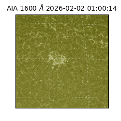 saia - 2026-02-02T01:00:14.122000