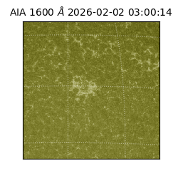 saia - 2026-02-02T03:00:14.125000