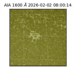 saia - 2026-02-02T08:00:14.126000