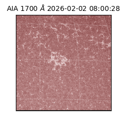 saia - 2026-02-02T08:00:28.717000