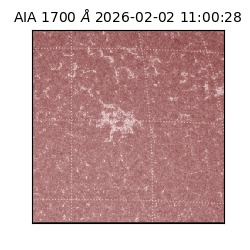 saia - 2026-02-02T11:00:28.717000