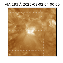 saia - 2026-02-02T04:00:05.627000