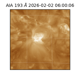 saia - 2026-02-02T06:00:06.624000