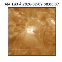 saia - 2026-02-02T08:00:07.108000