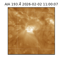 saia - 2026-02-02T11:00:07.129000