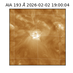 saia - 2026-02-02T19:00:04.843000