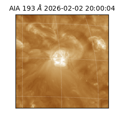 saia - 2026-02-02T20:00:04.835000