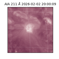 saia - 2026-02-02T20:00:09.622000