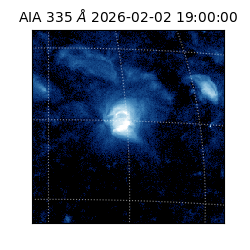 saia - 2026-02-02T19:00:00.626000