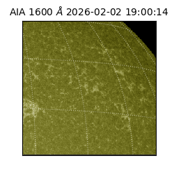 saia - 2026-02-02T19:00:14.132000