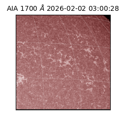 saia - 2026-02-02T03:00:28.717000