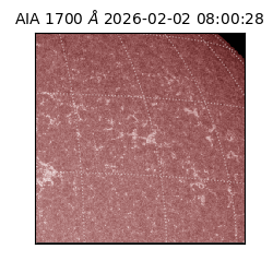 saia - 2026-02-02T08:00:28.717000