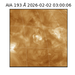 saia - 2026-02-02T03:00:06.711000