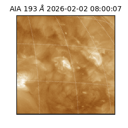 saia - 2026-02-02T08:00:07.108000