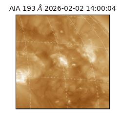 saia - 2026-02-02T14:00:04.843000