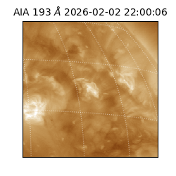 saia - 2026-02-02T22:00:06.187000