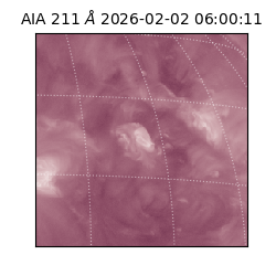 saia - 2026-02-02T06:00:11.618000