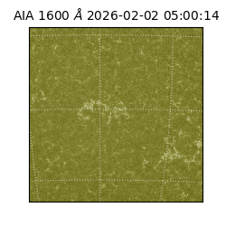 saia - 2026-02-02T05:00:14.126000