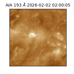 saia - 2026-02-02T02:00:05.337000