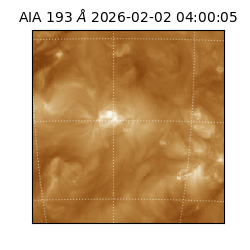 saia - 2026-02-02T04:00:05.627000