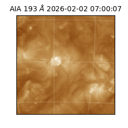 saia - 2026-02-02T07:00:07.032000