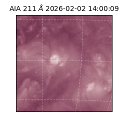 saia - 2026-02-02T14:00:09.626000