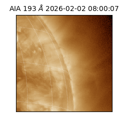 saia - 2026-02-02T08:00:07.108000