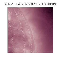 saia - 2026-02-02T13:00:09.626000