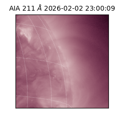 saia - 2026-02-02T23:00:09.631000