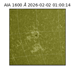 saia - 2026-02-02T01:00:14.122000