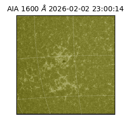 saia - 2026-02-02T23:00:14.126000