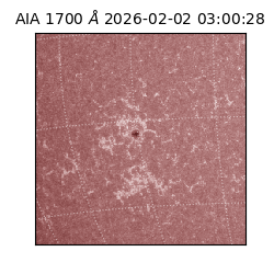 saia - 2026-02-02T03:00:28.717000